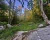 Tract B John Orr Road, Independence, West Virginia 26374, ,Lots/land,For Sale,John Orr,10165314 Tract B John Orr Road, Independence, West Virginia 26374, ,Lots/land,For Sale,John Orr,10165314