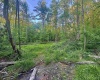 Tract B John Orr Road, Independence, West Virginia 26374, ,Lots/land,For Sale,John Orr,10165314 Tract B John Orr Road, Independence, West Virginia 26374, ,Lots/land,For Sale,John Orr,10165314