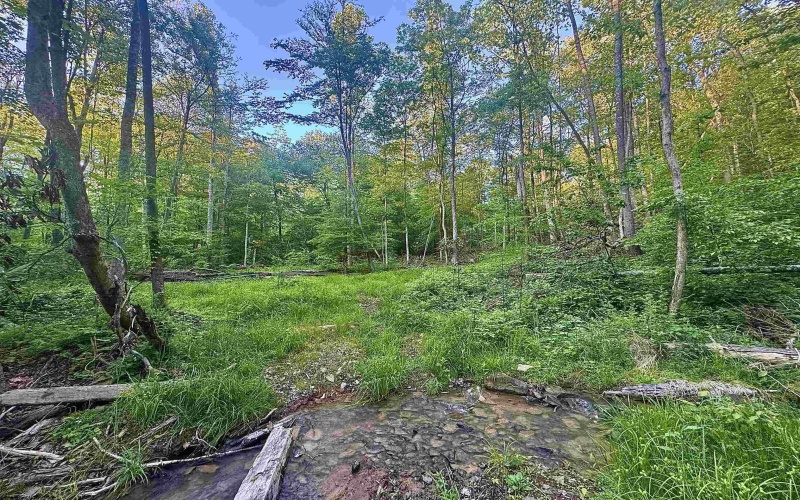Tract B John Orr Road, Independence, West Virginia 26374, ,Lots/land,For Sale,John Orr,10165314 Tract B John Orr Road, Independence, West Virginia 26374, ,Lots/land,For Sale,John Orr,10165314