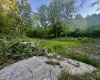 Tract B John Orr Road, Independence, West Virginia 26374, ,Lots/land,For Sale,John Orr,10165314 Tract B John Orr Road, Independence, West Virginia 26374, ,Lots/land,For Sale,John Orr,10165314
