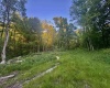 Tract B John Orr Road, Independence, West Virginia 26374, ,Lots/land,For Sale,John Orr,10165314 Tract B John Orr Road, Independence, West Virginia 26374, ,Lots/land,For Sale,John Orr,10165314