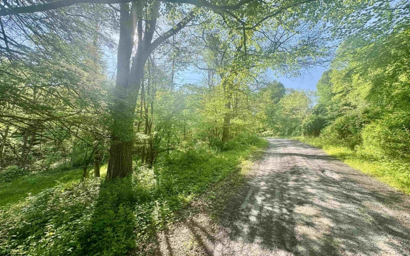 Tract B John Orr Road, Independence, West Virginia 26374, ,Lots/land,For Sale,John Orr,10165314 Tract B John Orr Road, Independence, West Virginia 26374, ,Lots/land,For Sale,John Orr,10165314