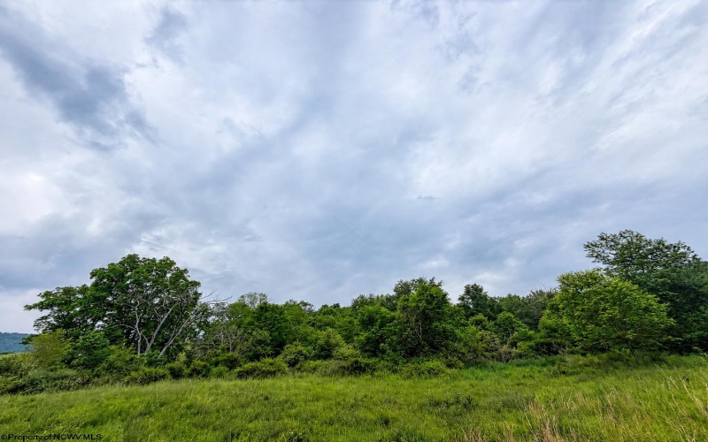 Lot 11 Iron Horse Lane, Dryfork, West Virginia 26263, ,Lots/land,For Sale,Iron Horse,10165306 Lot 11 Iron Horse Lane, Dryfork, West Virginia 26263, ,Lots/land,For Sale,Iron Horse,10165306