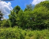 Lot 11 Iron Horse Lane, Dryfork, West Virginia 26263, ,Lots/land,For Sale,Iron Horse,10165306 Lot 11 Iron Horse Lane, Dryfork, West Virginia 26263, ,Lots/land,For Sale,Iron Horse,10165306