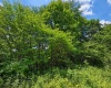 Lot 11 Iron Horse Lane, Dryfork, West Virginia 26263, ,Lots/land,For Sale,Iron Horse,10165306 Lot 11 Iron Horse Lane, Dryfork, West Virginia 26263, ,Lots/land,For Sale,Iron Horse,10165306