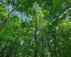 Lot 8 Iron Horse Lane, Dryfork, West Virginia 26263, ,Lots/land,For Sale,Iron Horse,10165304