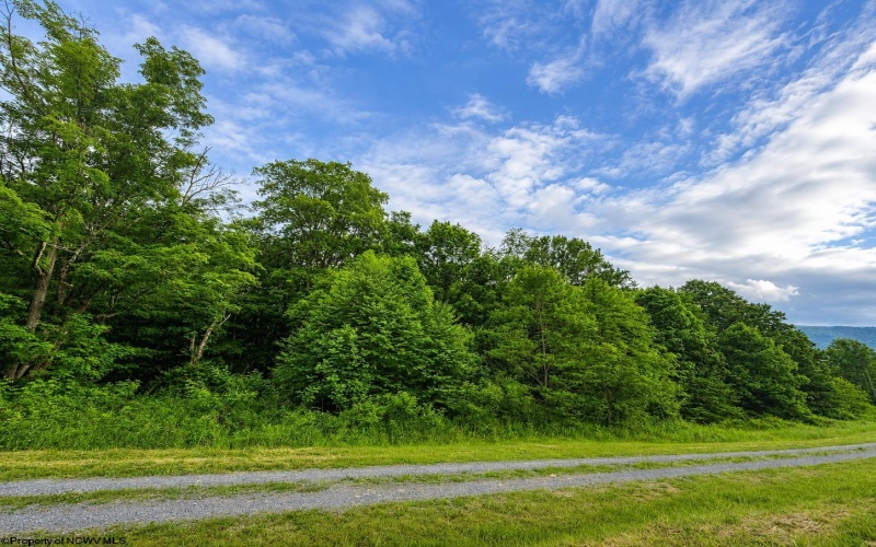 Lot 8 Iron Horse Lane, Dryfork, West Virginia 26263, ,Lots/land,For Sale,Iron Horse,10165304