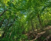 Lot 8 Iron Horse Lane, Dryfork, West Virginia 26263, ,Lots/land,For Sale,Iron Horse,10165304
