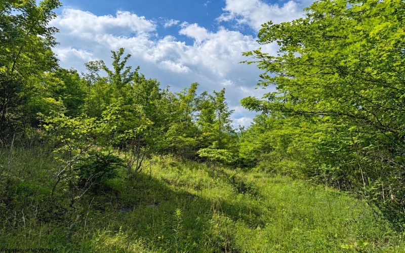 Lot 8 Iron Horse Lane, Dryfork, West Virginia 26263, ,Lots/land,For Sale,Iron Horse,10165304