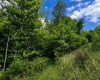 Lot 8 Iron Horse Lane, Dryfork, West Virginia 26263, ,Lots/land,For Sale,Iron Horse,10165304
