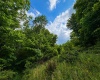 Lot 8 Iron Horse Lane, Dryfork, West Virginia 26263, ,Lots/land,For Sale,Iron Horse,10165304