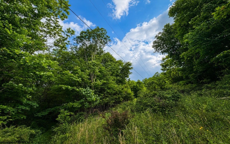 Lot 8 Iron Horse Lane, Dryfork, West Virginia 26263, ,Lots/land,For Sale,Iron Horse,10165304