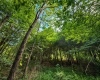 Lot 8 Iron Horse Lane, Dryfork, West Virginia 26263, ,Lots/land,For Sale,Iron Horse,10165304