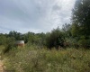 TBD Helens Run Road, Worthington, West Virginia 26591, ,Lots/land,For Sale,Helens Run,10165296