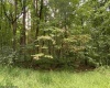 TBD Helens Run Road, Worthington, West Virginia 26591, ,Lots/land,For Sale,Helens Run,10165296