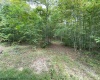 TBD Helens Run Road, Worthington, West Virginia 26591, ,Lots/land,For Sale,Helens Run,10165296