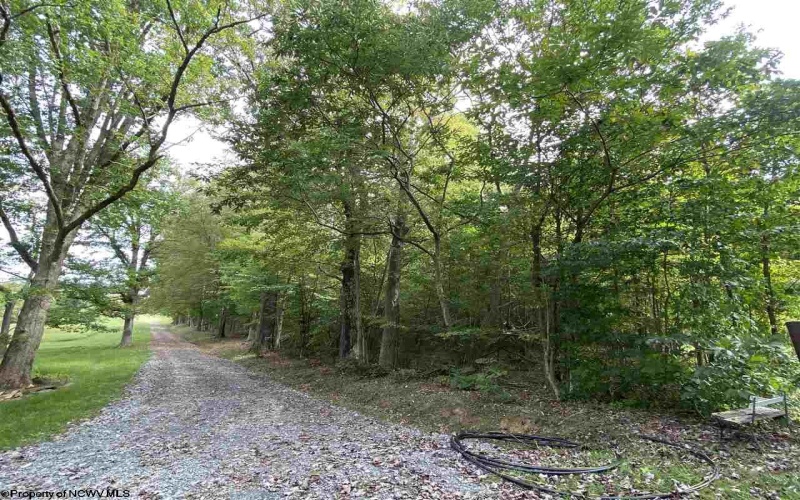 TBD Helens Run Road, Worthington, West Virginia 26591, ,Lots/land,For Sale,Helens Run,10165296