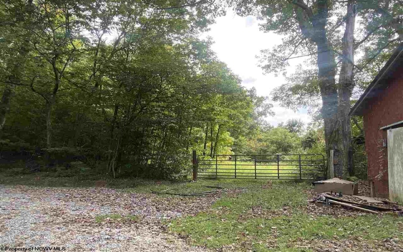 TBD Helens Run Road, Worthington, West Virginia 26591, ,Lots/land,For Sale,Helens Run,10165296