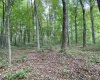 TBD Helens Run Road, Worthington, West Virginia 26591, ,Lots/land,For Sale,Helens Run,10165296