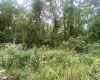 TBD Helens Run Road, Worthington, West Virginia 26591, ,Lots/land,For Sale,Helens Run,10165296