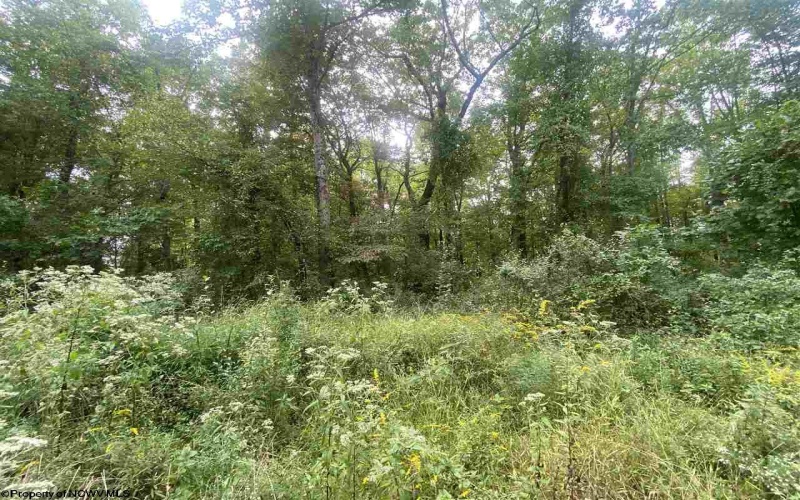 TBD Helens Run Road, Worthington, West Virginia 26591, ,Lots/land,For Sale,Helens Run,10165296