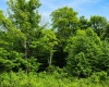 Lot 10 Iron Horse Lane, Dryfork, West Virginia 26263, ,Lots/land,For Sale,Iron Horse,10165305