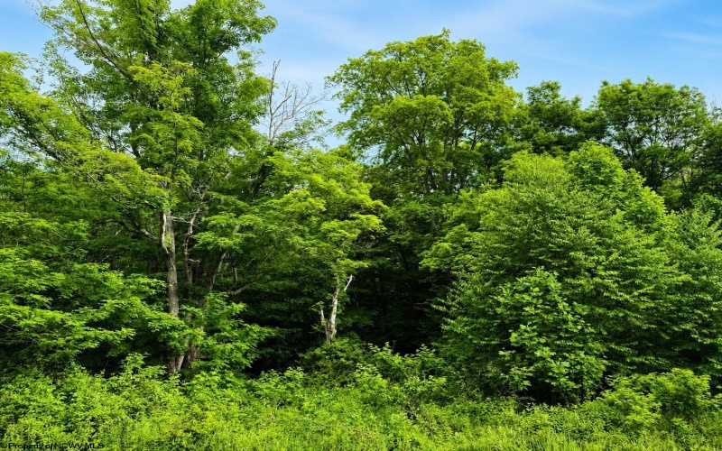 Lot 10 Iron Horse Lane, Dryfork, West Virginia 26263, ,Lots/land,For Sale,Iron Horse,10165305