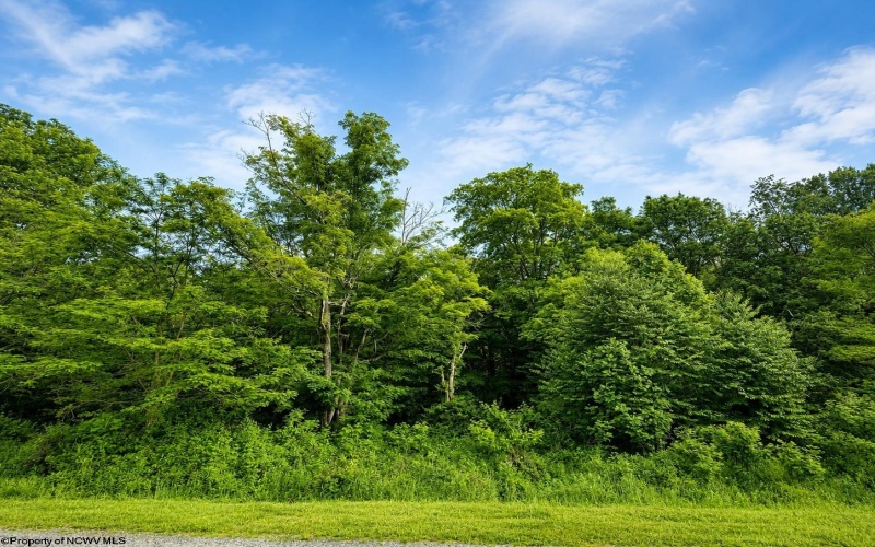 Lot 10 Iron Horse Lane, Dryfork, West Virginia 26263, ,Lots/land,For Sale,Iron Horse,10165305