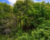 Lot 10 Iron Horse Lane, Dryfork, West Virginia 26263, ,Lots/land,For Sale,Iron Horse,10165305