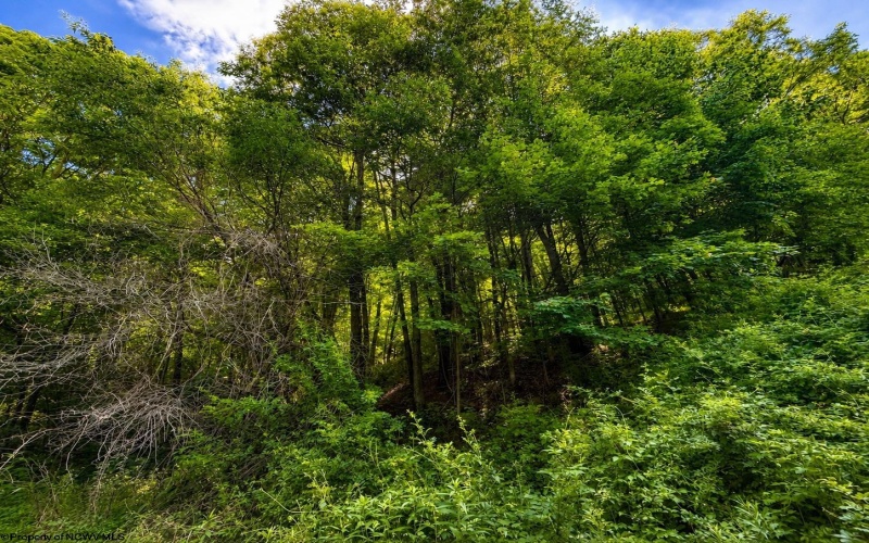 Lot 10 Iron Horse Lane, Dryfork, West Virginia 26263, ,Lots/land,For Sale,Iron Horse,10165305