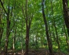 Lot 6 Iron Horse Lane, Dryfork, West Virginia 26263, ,Lots/land,For Sale,Iron Horse,10165303