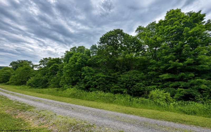 Lot 6 Iron Horse Lane, Dryfork, West Virginia 26263, ,Lots/land,For Sale,Iron Horse,10165303