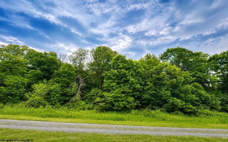 Lot 6 Iron Horse Lane, Dryfork, West Virginia 26263, ,Lots/land,For Sale,Iron Horse,10165303
