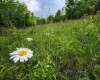Lot 6 Iron Horse Lane, Dryfork, West Virginia 26263, ,Lots/land,For Sale,Iron Horse,10165303
