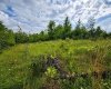 Lot 6 Iron Horse Lane, Dryfork, West Virginia 26263, ,Lots/land,For Sale,Iron Horse,10165303