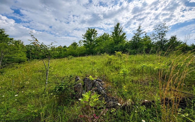 Lot 6 Iron Horse Lane, Dryfork, West Virginia 26263, ,Lots/land,For Sale,Iron Horse,10165303