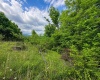 Lot 6 Iron Horse Lane, Dryfork, West Virginia 26263, ,Lots/land,For Sale,Iron Horse,10165303