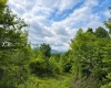 Lot 6 Iron Horse Lane, Dryfork, West Virginia 26263, ,Lots/land,For Sale,Iron Horse,10165303