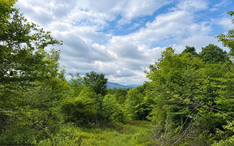 Lot 6 Iron Horse Lane, Dryfork, West Virginia 26263, ,Lots/land,For Sale,Iron Horse,10165303