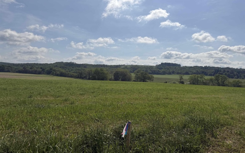 0 Clifton Salem Road, Bruceton Mills, West Virginia 26525, ,Lots/land,For Sale,Clifton Salem,10165310 0 Clifton Salem Road, Bruceton Mills, West Virginia 26525, ,Lots/land,For Sale,Clifton Salem,10165310