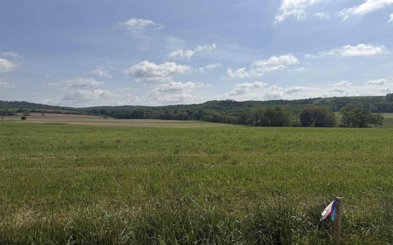 0 Clifton Salem Road, Bruceton Mills, West Virginia 26525, ,Lots/land,For Sale,Clifton Salem,10165310 0 Clifton Salem Road, Bruceton Mills, West Virginia 26525, ,Lots/land,For Sale,Clifton Salem,10165310