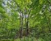 Lot 12 Iron Horse Lane, Dryfork, West Virginia 26263, ,Lots/land,For Sale,Iron Horse,10165307 Lot 12 Iron Horse Lane, Dryfork, West Virginia 26263, ,Lots/land,For Sale,Iron Horse,10165307