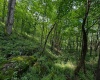 Lot 12 Iron Horse Lane, Dryfork, West Virginia 26263, ,Lots/land,For Sale,Iron Horse,10165307 Lot 12 Iron Horse Lane, Dryfork, West Virginia 26263, ,Lots/land,For Sale,Iron Horse,10165307