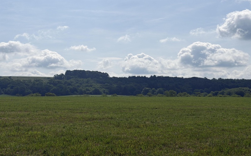 001 Clifton Salem Road, Bruceton Mills, West Virginia 26525, ,Lots/land,For Sale,Clifton Salem,10165312