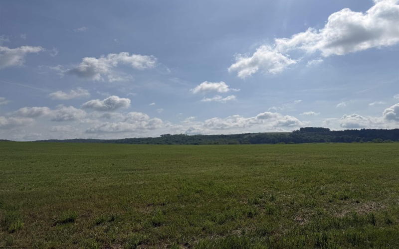 001 Clifton Salem Road, Bruceton Mills, West Virginia 26525, ,Lots/land,For Sale,Clifton Salem,10165312