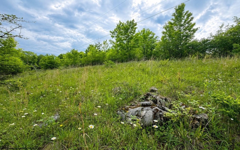 Lot 4 Iron Horse Lane, Dryfork, West Virginia 26263, ,Lots/land,For Sale,Iron Horse,10165302