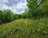 Lot 4 Iron Horse Lane, Dryfork, West Virginia 26263, ,Lots/land,For Sale,Iron Horse,10165302