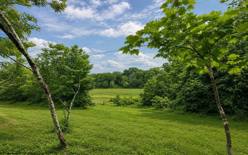 Lot 4 Iron Horse Lane, Dryfork, West Virginia 26263, ,Lots/land,For Sale,Iron Horse,10165302