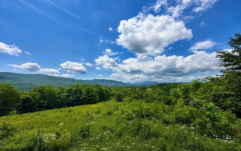 Lot 4 Iron Horse Lane, Dryfork, West Virginia 26263, ,Lots/land,For Sale,Iron Horse,10165302