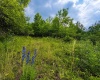 Lot 4 Iron Horse Lane, Dryfork, West Virginia 26263, ,Lots/land,For Sale,Iron Horse,10165302